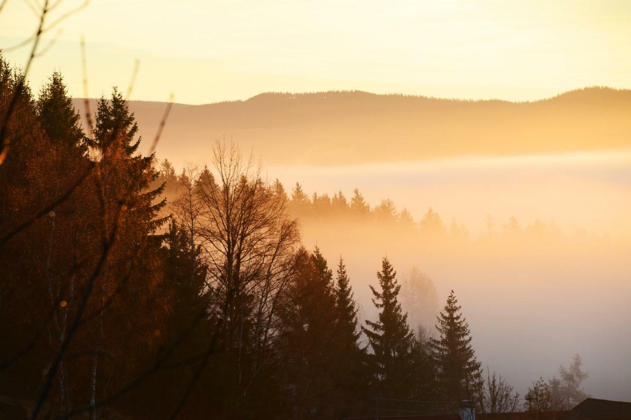 Gluehwuermchenhuette Villa Ratten Luaran gambar